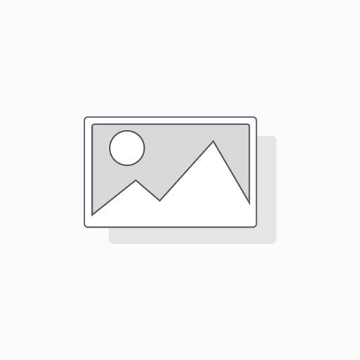 [LP001] LIGHTER PLUG