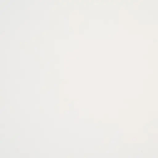 [3589 Optic] SAULEDA MARCIL Optic 153CM wide 